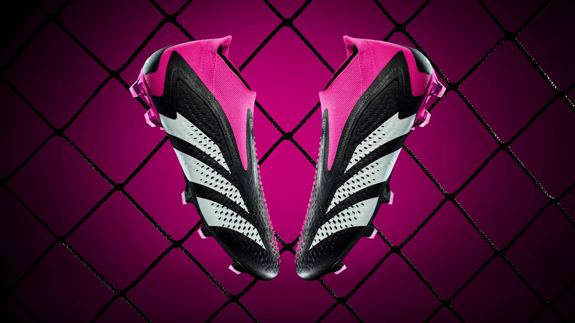 仅有众多 仅有众多